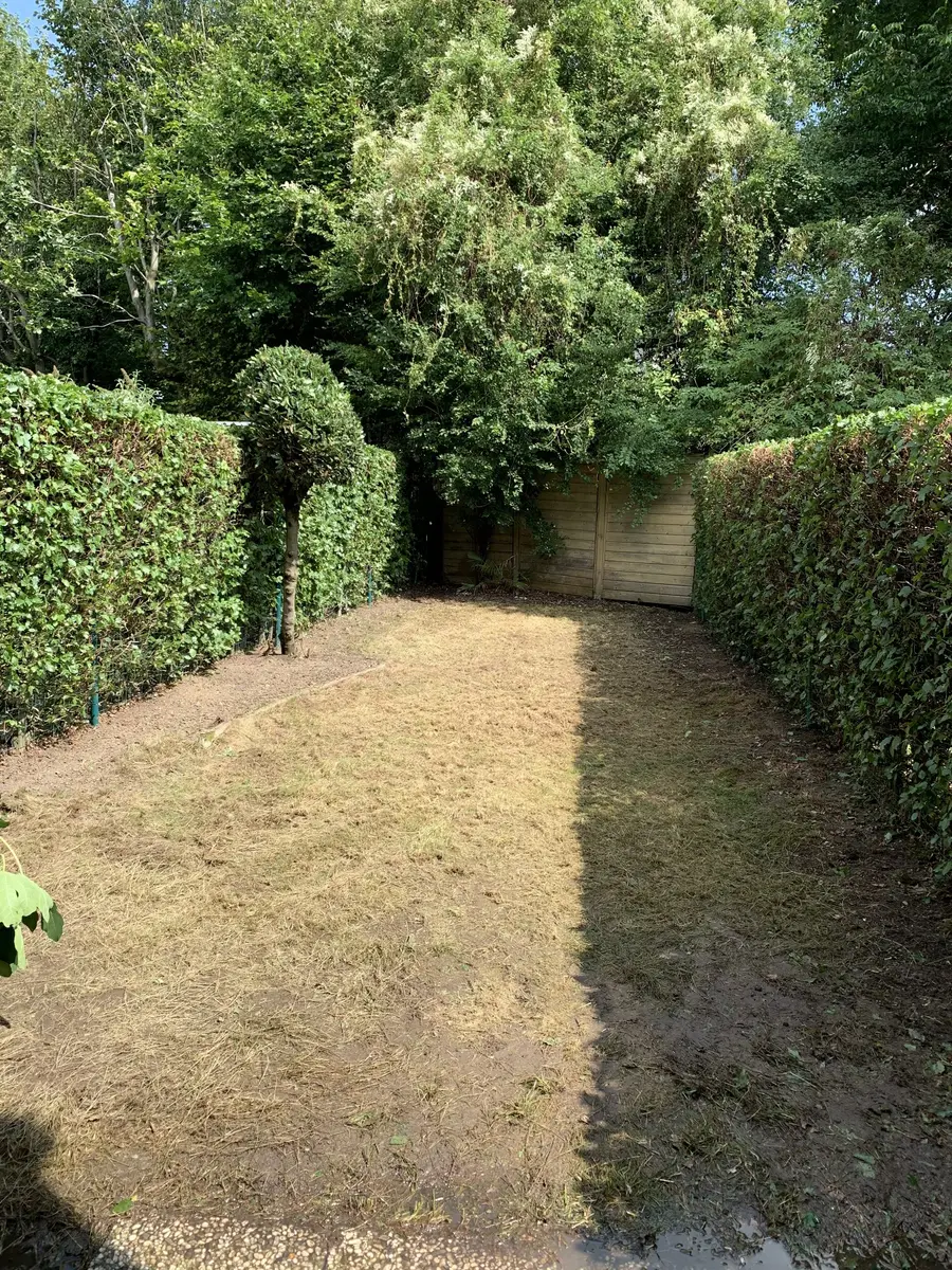 Tuin na de onderhoudsbeurt