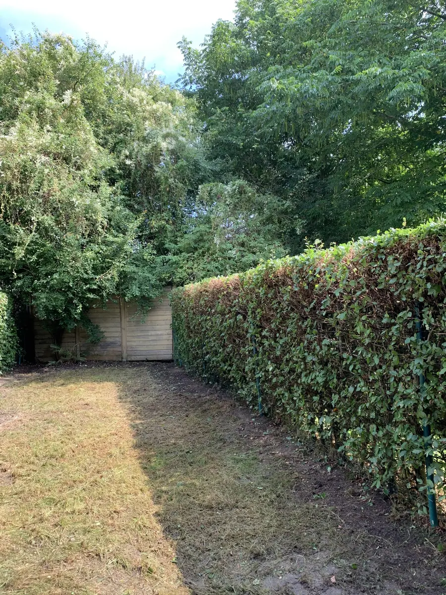 Hagen gesnoeid en terrein vrijgemaakt