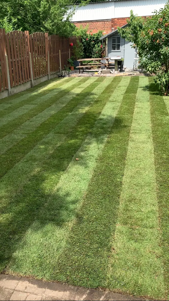 Verzorgde tuin na het onderhoud