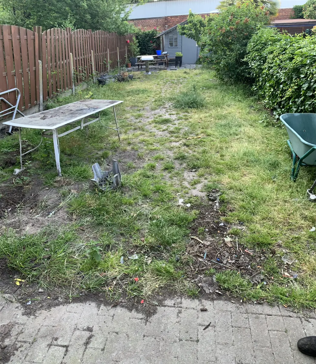 Overgroeide tuin vóór het onderhoud