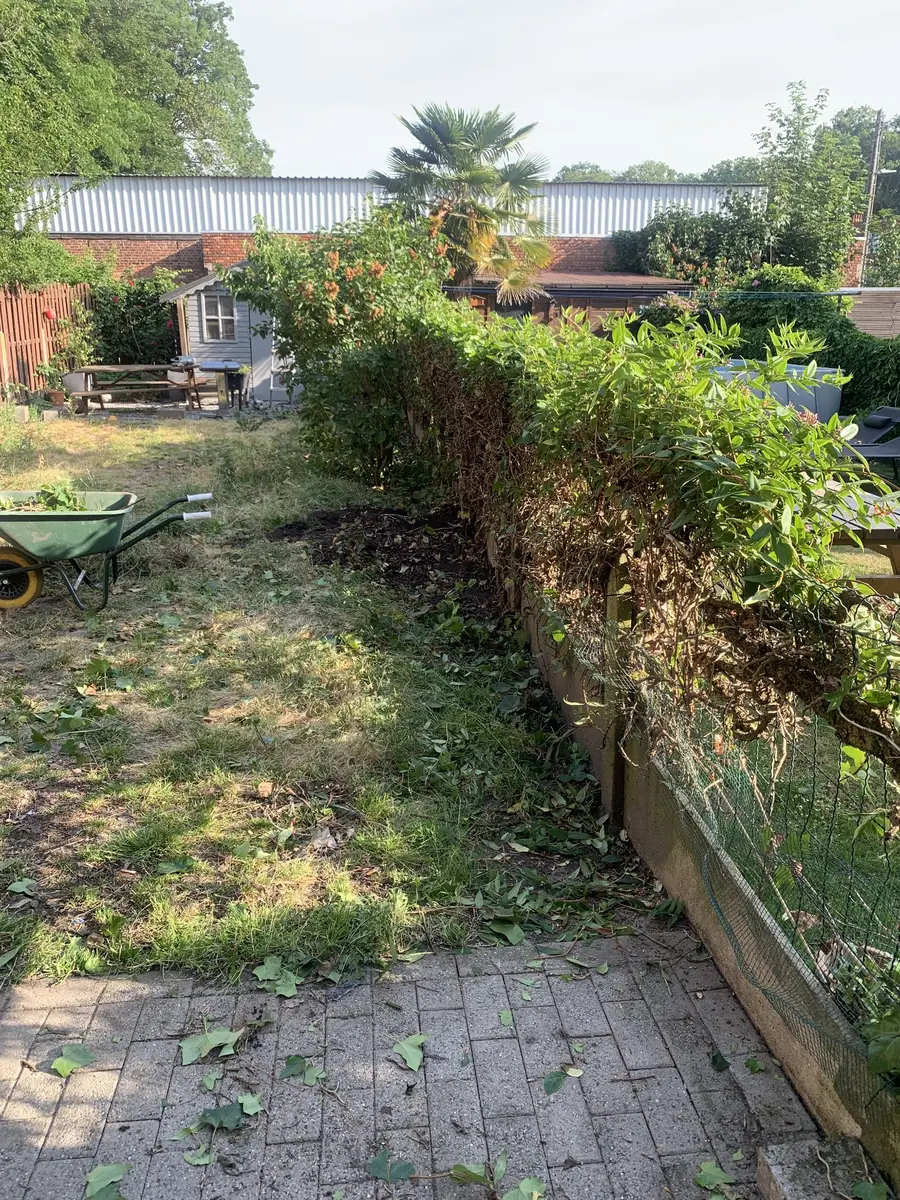 Tuin tijdens het vrijmaken
